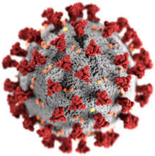 Informazioni coronavirus